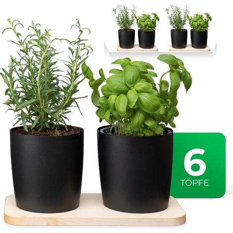 3x Novaliv Kräutertopf  3x Holzbrett, 6x Kräutertöpfe (1/5)