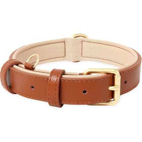 Collier de Chien, en Cuir, Collier de Chien Ajustable Coussin Moelleux Cuir Rembourré pour Petite, Moyenne ou Grande Chiens, Marron, M (1/4)