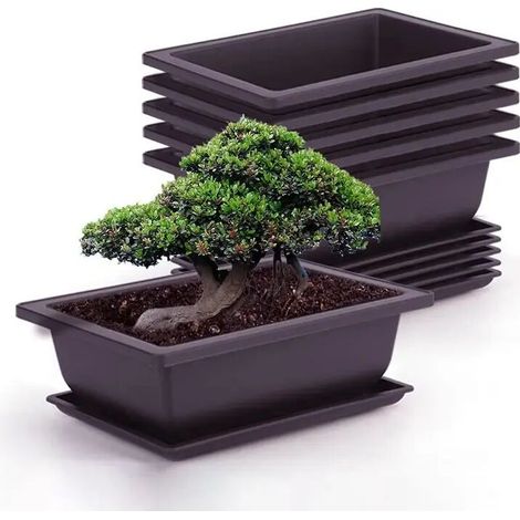 (Plateau ovale et bac) Plateau carré ou rectangulaire pour bonsaï, imitation terre cuite violette, pots pour plantes succulentes Pots pour plantes