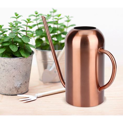 Arrosoir en acier inoxydable de 1,5 L avec long bec, outil pour fleurs et plantes de jardin (1/5)