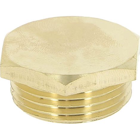 Watts – Bouchon laiton mâle 3/4 – Raccord à visser – Filetage 3/4" (20x27) – Pour installations sanitaires