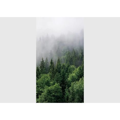 Papier peint forets de sapins et brouillard 270 x 150 cm (1/4)