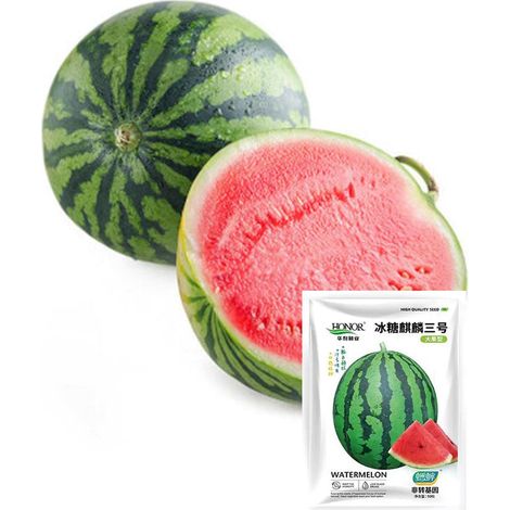 Graines de Pastèque Kirin No.3 – 30 graines/sachet, 2 sachets pour jardin et potager (1/5)