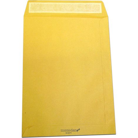 Blasetti Monodex Havanna Kraftpapier Beutel 100 g/m² - 25x35,3 cm - Pack. 500 Stk.