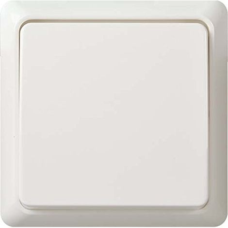 ELSO BOUTON-POUSSOIR 10 A BORNE REN, PERLE, 502100
