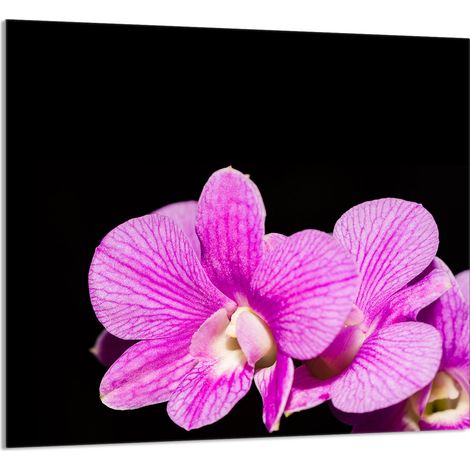 Panneau de verre POUR la cuisine 65x60 Orchidée (1/5)
