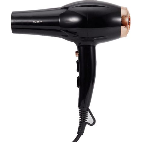 Sèche-cheveux intelligent 3000W pour animaux, silencieux et puissant, souffleur domestique électrique, prise UE 220V (1/5)