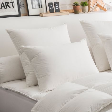 Oreiller 50% Duvet ECO-RESPONSABLE FERME - 60/60 - DODO (1/3)