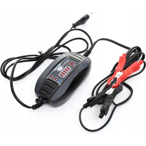 Chargeur automatique pour batteries 6/12 V 30 Ah (1/5)