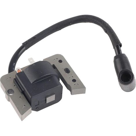 Bobine d'allumage pour tondeuse à gazon Tecumseh 34443 34443A 34443B 34443C 34443D (module à semi-conducteurs) - Pièce YMJJ (1/4)