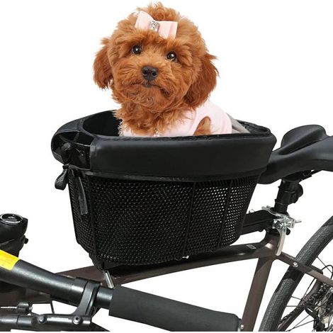 Cestino per bicicletta per cani, trasportino per animali domestici, trasporto sicuro, tracolla regolabile, 36 x 21 x 22 cm, nero (1/5)
