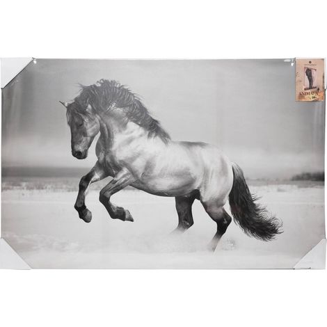 Lienzo enmarcado Animales 75x115cm - Atmosphera créateur d'intérieur