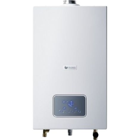 Calentador de gas Hermann Saunier Duval Opalia F 15, 15 L/min (1/2)