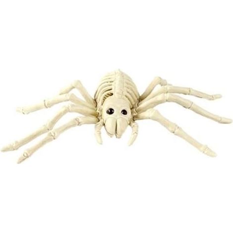 1pc Halloween animaux effrayant squelette accessoires heureux Halloween crâne effrayant animal squelette cadre (araignée) (1/4)