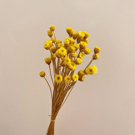Flores artificiales, ramos de flores secas, ramos naturales, decoraciones de flores secas en botellas, 50 tallos (1/4)