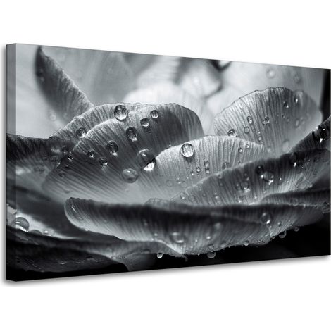 Lienzo impreso Flor en gotas de rocío 100x60 cm