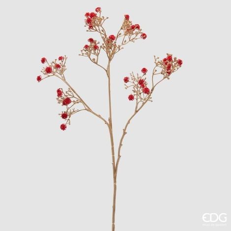 Ramo Gypsophila Stelo Oro H.68 Rosso