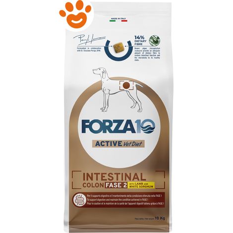 Forza10 Dog Active VetDiet Intestinal Colon Fase 2 Agnello e Sorgo