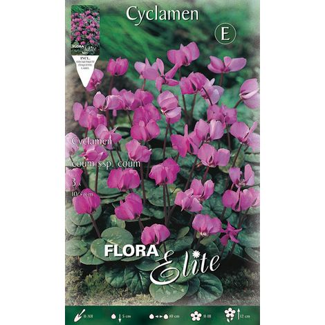 CICLAMINO CYCLAMEN COUM SSP COUM (CONFEZIONE DA 3 BULBI)
