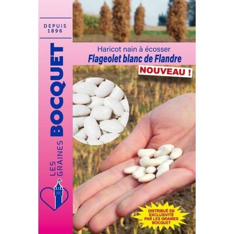 Haricot nain à écosser Flageolet Blanc de Flandres  - 90g