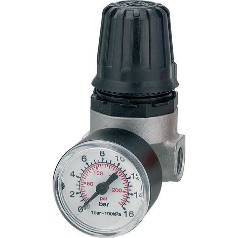 REGOLATORE DI PRESSIONE PER COMPRESSORE '31/A4' 2 vie - att. 1/4 F - ANI