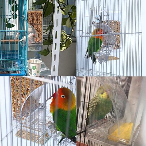 Mangeoire automatique pour cage, sans dégâts. Cage pour petits oiseaux : perroquets, canaris, perruches ondulées, calopsittes, inséparables. (1/4)