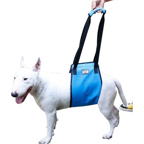 Imbragatura per il sollevamento di cani, supporto per imbracatura per cani di taglia media e grande, supporto per le zampe posteriori (S, blu)