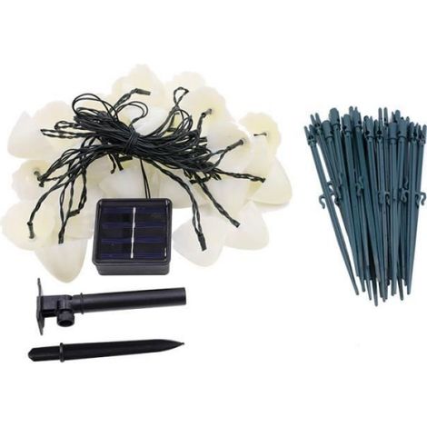 Guirlande lumineuse solaire - - 5m - 20 LED champignon - 8 modes - Blanc chaud (1/4)