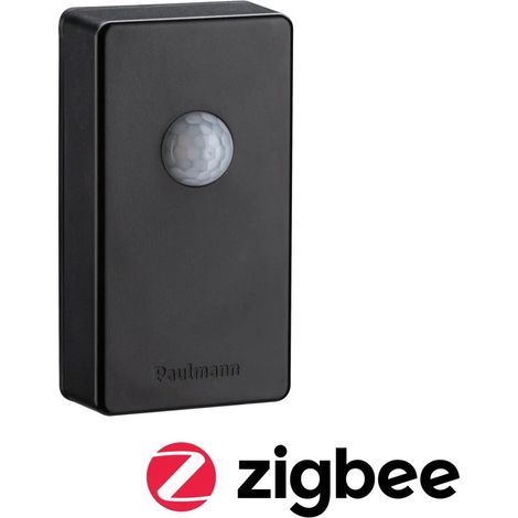 Paulmann Außen-Bewegungsmelder Zigbee mit Dämmerungssensor (1/3)