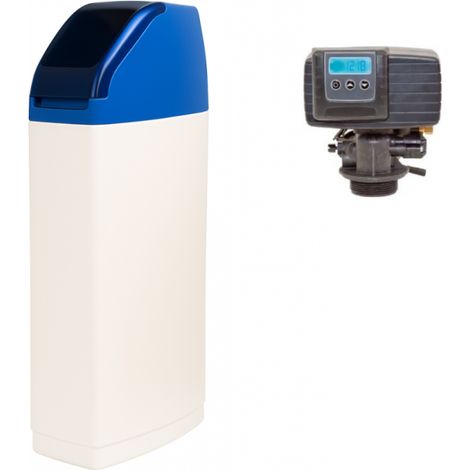 Pentair – Adoucisseur d'eau 20 L – Vanne Fleck 5600 SXT – Régénération volumétrique automatique – H 1120 mm, P 430 mm, L 310 mm (1/5)