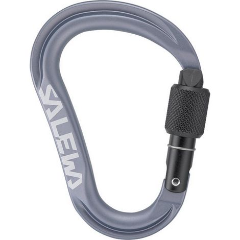 Salewa Ortles HMS Unisex-Kletterkarabiner grau 00-00000720020987 (1/4)