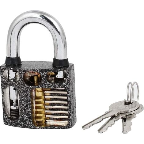 Meuble Tor Tür Metall Sicherheitsschließfach Vorhängeschloss 80x50x23mm avec Schlüssel