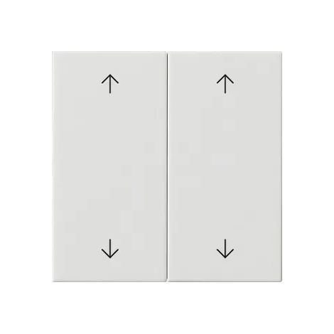 Gira Wippe 2f Pfeile System 55 Reinweiß [538703], 5387 03
