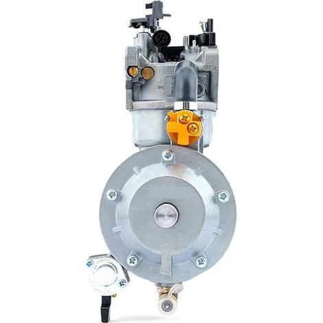 Motorradvergaser für GX390 188F Wasserpumpenmotor, LPG/CNG Dual-Fuel-Umrüstsatz für P27A-LPG 5-7 kW 13 PS Benzingenerator. (1/5)