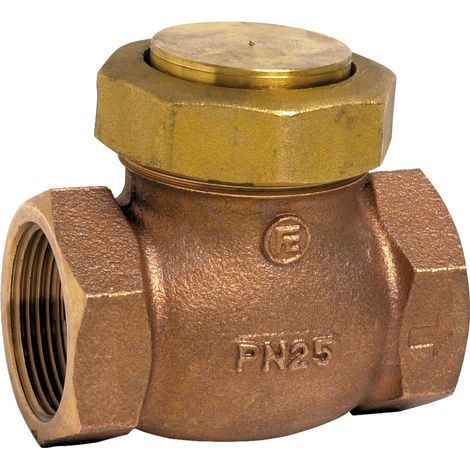 Clapet de non retour à levée verticale bronze-inox Femelle BSP - Série 350 15x21