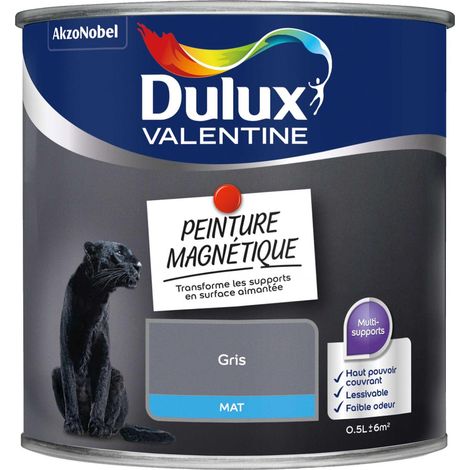Peinture De Rénovation Magnétique Mat Gris 0,5 L - Dulux Valentine
