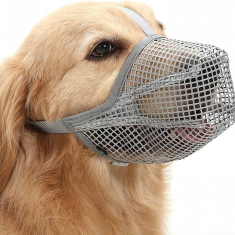 Couches Chien Lavable(L),3 Couches pour Chien Femelle Bandes Réutilisables pour Chiens Chats,Conception de Jupe Culotte Super Absorbante pour Chien Ré (1/5)