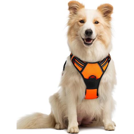 Harnais chien anti-traction Rabbitgoo M orange réglable réfléchissant attache avant (1/5)