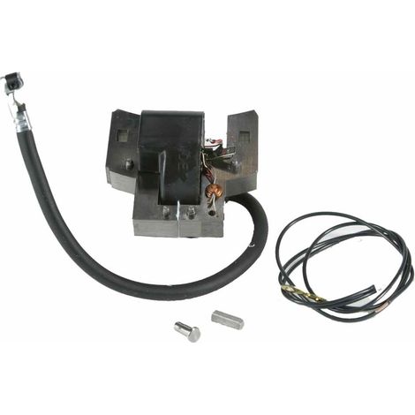 Brigg & Stratton Bobina elettronica motori 5 HP modelli 130 (1/3)