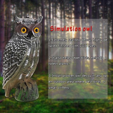 Épouvantail hibou solaire anti-oiseaux, leurre de chasse pour jardin, dissuasif nuisibles, décoration extérieure, yeux non lumineux (1/3)