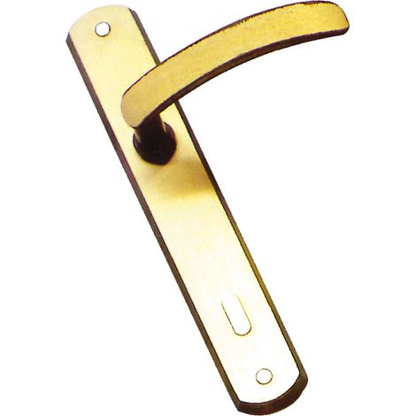 4PZ MANIGLIA INCA CON PLACCA QUADRO 8 foro Patent