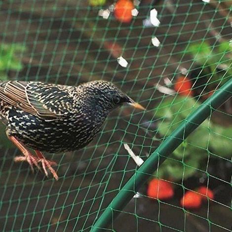 LEU Anti-oiseaux Filet de volière Maille 410M Protection pour Plante Légume Fruit Étang Jardin (1/4)