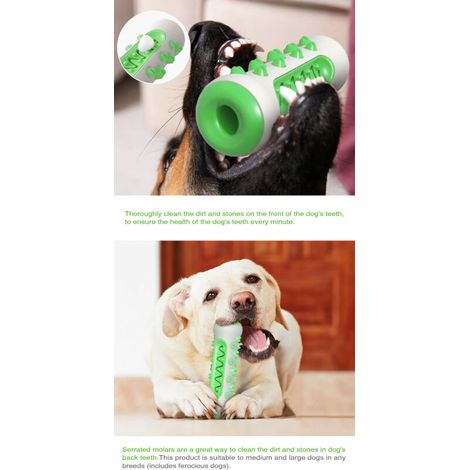 Beißspielzeug für Hunde – ZGEER – Zahnbürste – Grün – Material: TPR und Nylon – Mundpflege (1/4)