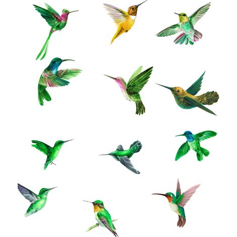 Autocollant Fenêtre Anti-Collision - Autocollant Statique Réutilisable en PVC - Pour Oiseaux - 12 Pièces (1/5)