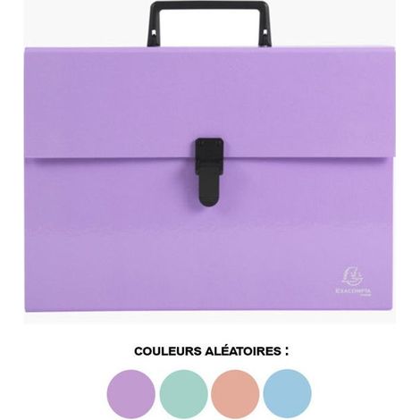 Valisette - Trieur - 18 compartiments - Poignée - Couleurs pastel - Exacompta (1/5)