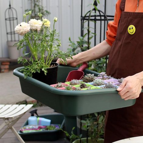 1 boîte de rangement pour graines de jardinage à grande capacité — En plastique vert, robuste et durable (1/5)