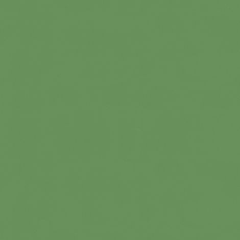 BRICOFLOR Papier peint uni Papier peint Vert - Papier peint Uni - 21,00 x 1,06 m (1/3)