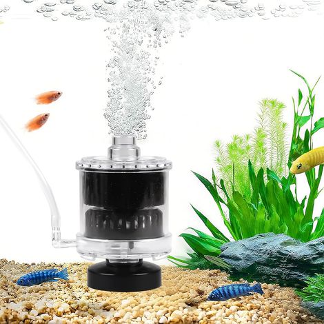 Petit Filtre Éponge Aquarium avec Tuyau Bulleur, Mini Filtre Intérieur D'aquarium pour 3060 L Aquarium, Filtre Interne avec Matériau Filtrant, pour Crevettes Betta (1/5)