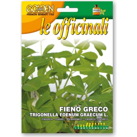 SEMI DI FIENO GRECO PER ORTO GIARDINO
