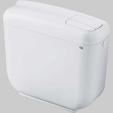 Réservoir à dos à double chasse d'eau 'Concept Monobloc' Blanc